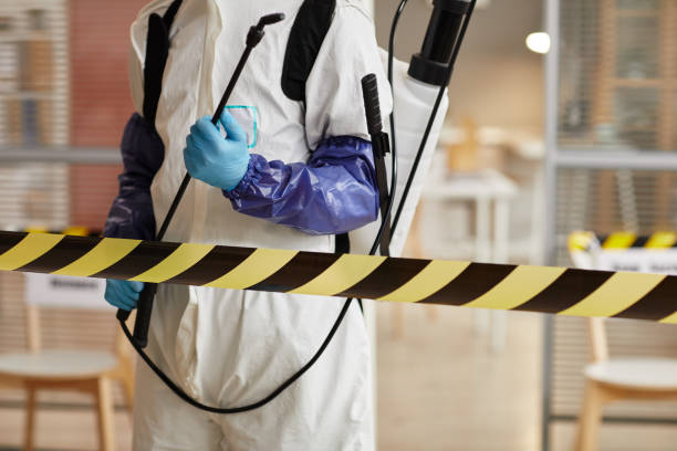 Professional Sewage Cleanup technician working in Satellite Beach, FL